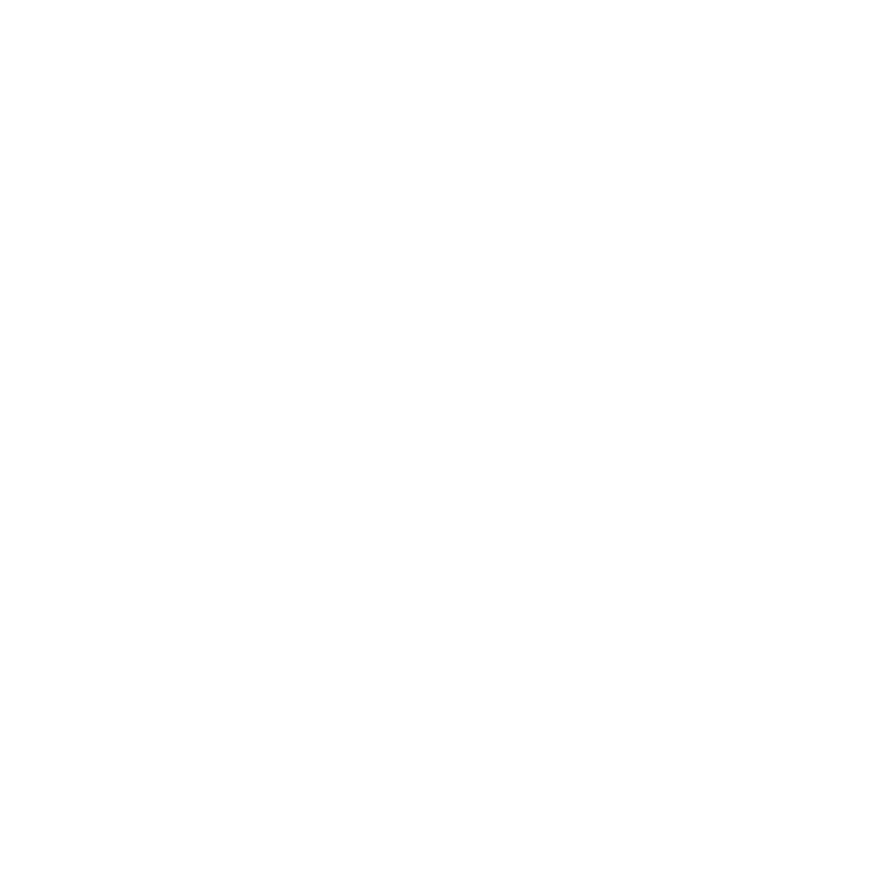 CAIS seal
